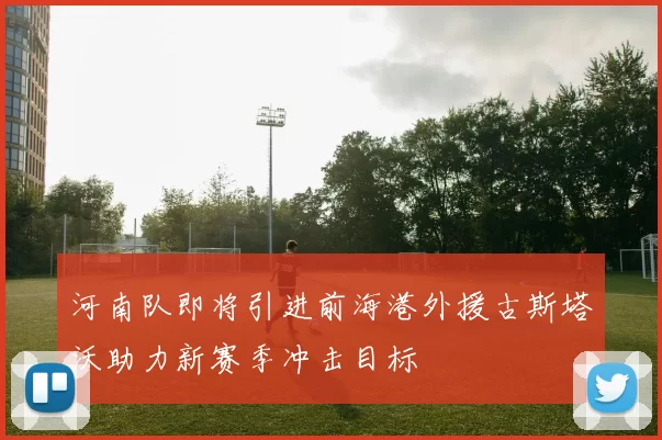 河南队即将引进前海港外援古斯塔沃助力新赛季冲击目标