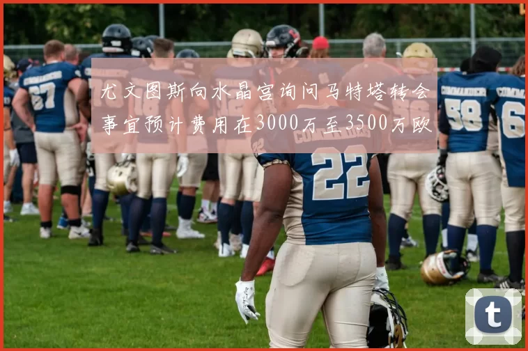尤文图斯向水晶宫询问马特塔转会事宜预计费用在3000万至3500万欧元之间