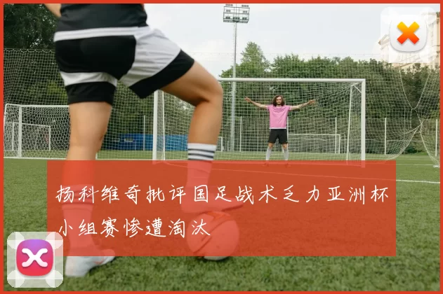 扬科维奇批评国足战术乏力亚洲杯小组赛惨遭淘汰