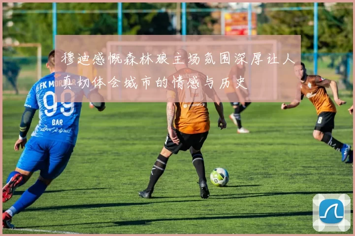 穆迪感慨森林狼主场氛围深厚让人真切体会城市的情感与历史